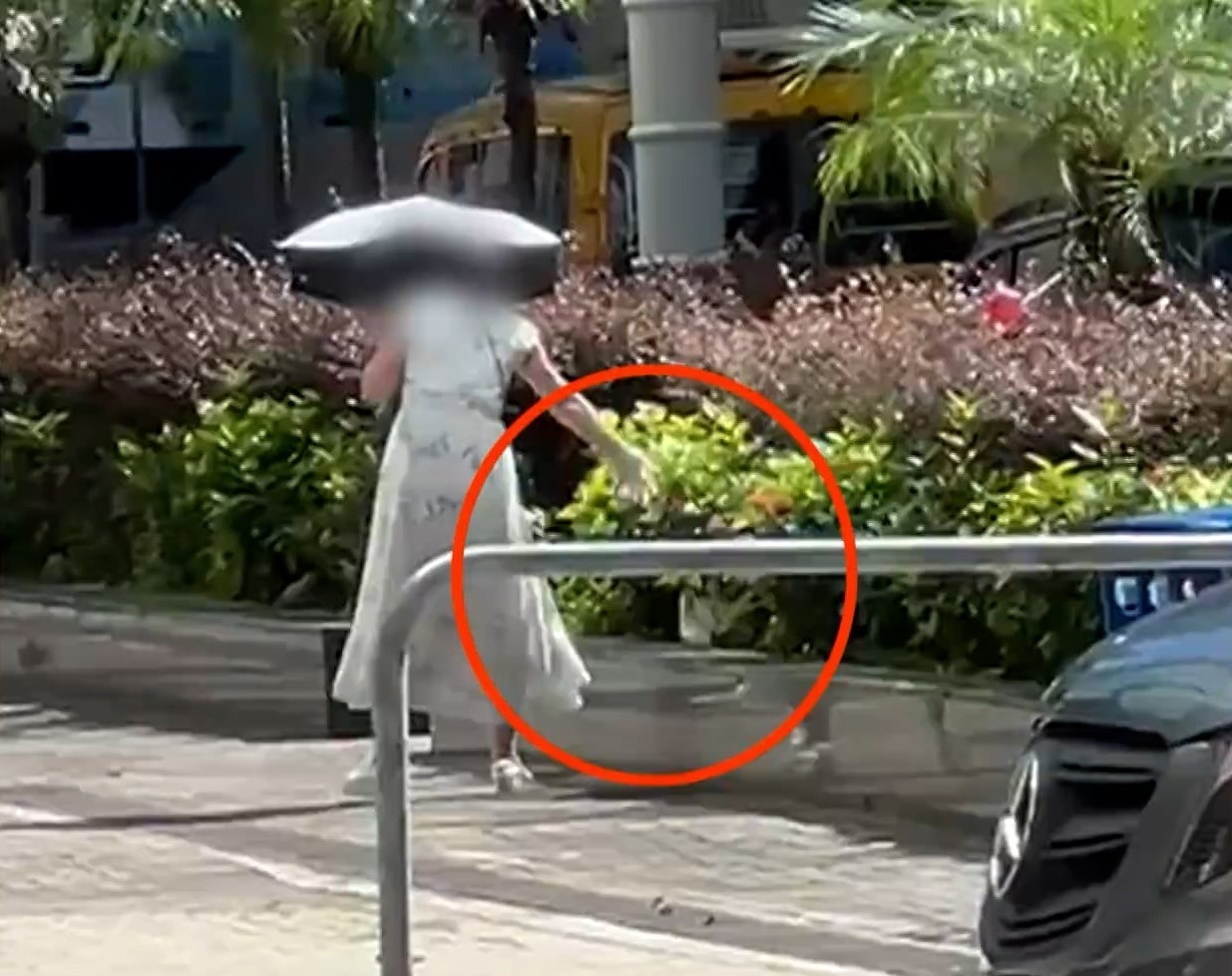 一位拿着傘子的女士，不斷將手上麵包「仙女散花」式扔在地上，惹來雀鳥聚集。