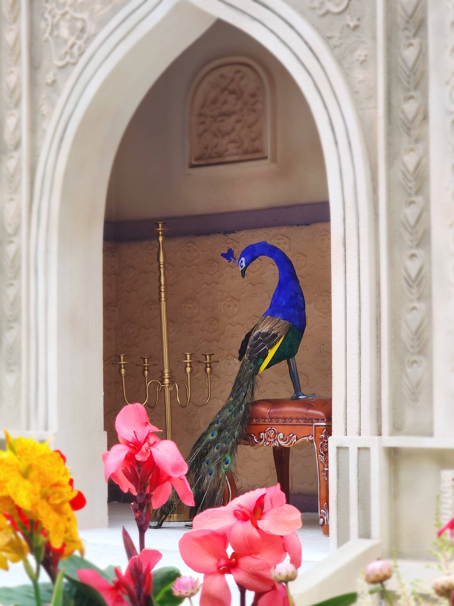 未提供相片說明。