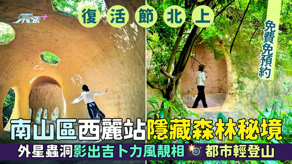 南山區｜西麗站隱藏森林秘境 🌳免費入場🪐外星蟲洞影出吉卜力風靚相 📸都市輕登山🥾