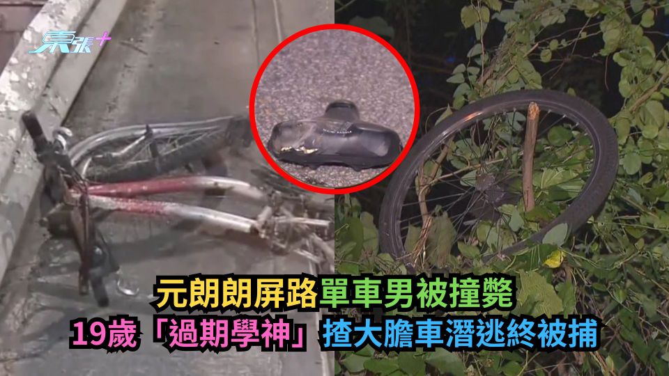元朗朗屏路單車男被撞斃　19歲「過期學神」揸大膽車潛逃終被捕-東張+