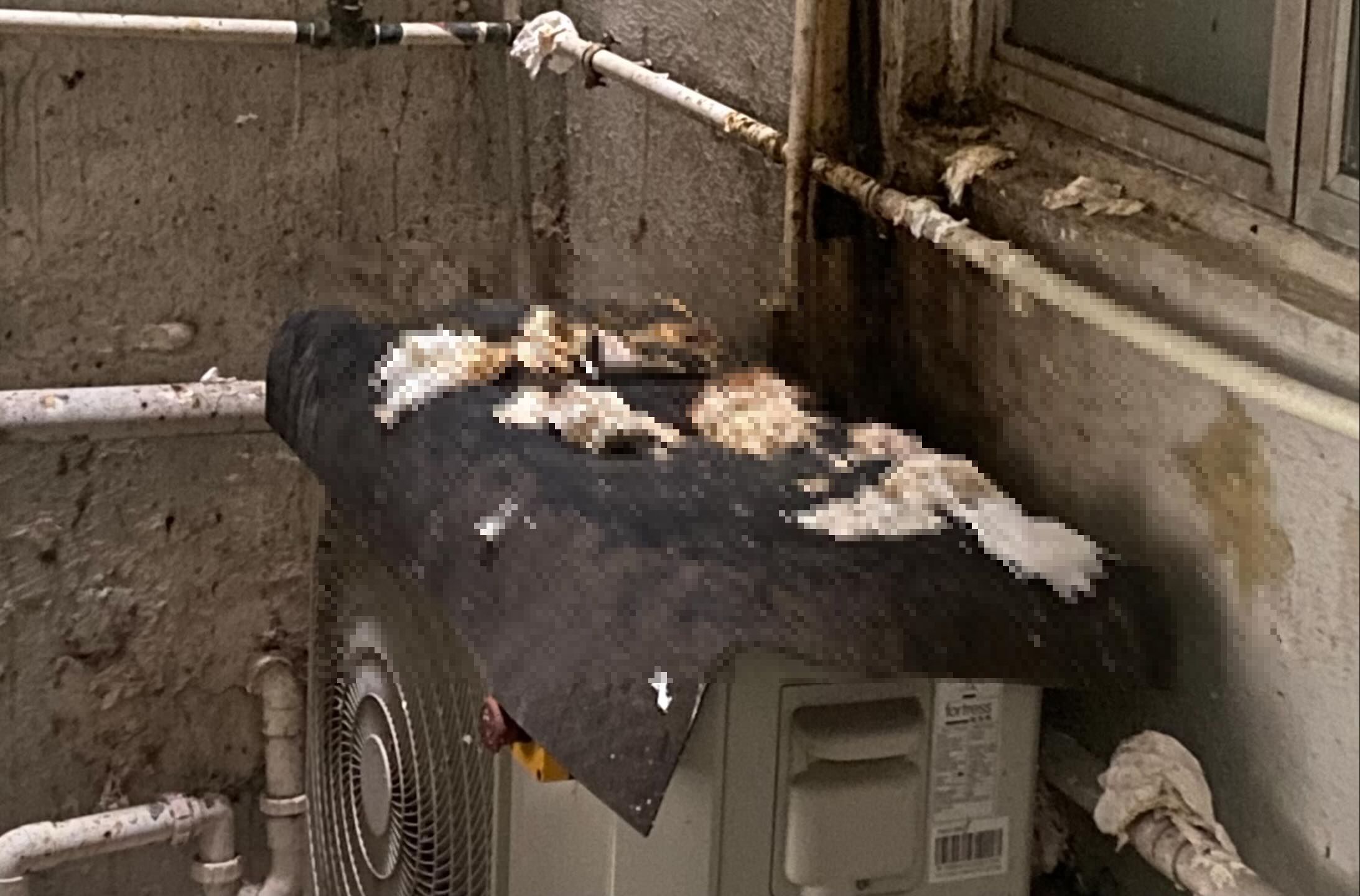 私樓港女疑遭樓上鄰居「掟屎」　網上發文求救：好崩潰