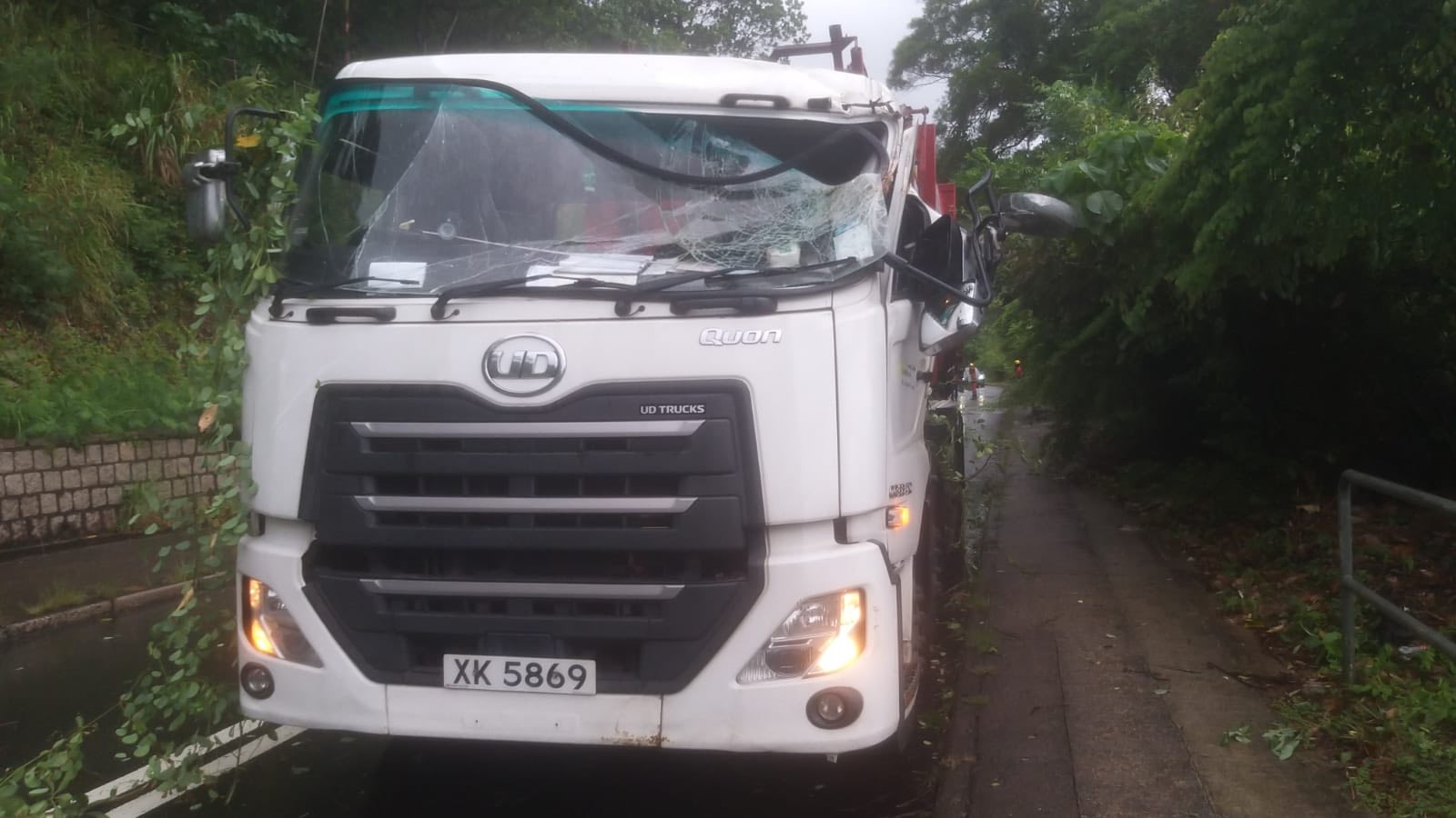 打風．颱風塔巴｜西沙路10米高大樹壓貨車擊爆玻璃