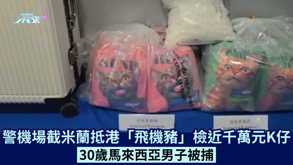 警機場截米蘭抵港「飛機豬」檢近千萬元K仔 30歲馬來西亞男子被捕