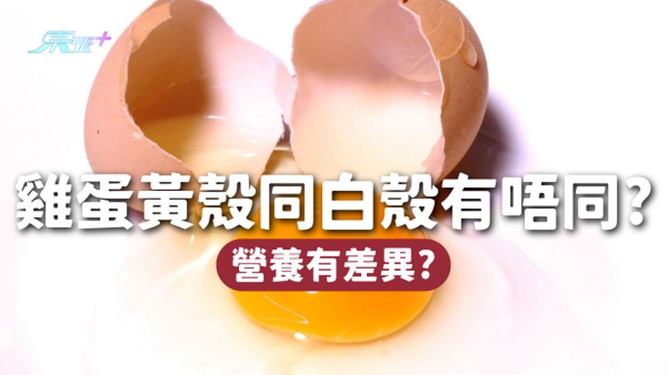 🥚黃殼雞蛋同白殼雞蛋有咩唔同？營養有差異嗎？