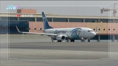 埃航客機降落沙特時爆胎無人傷