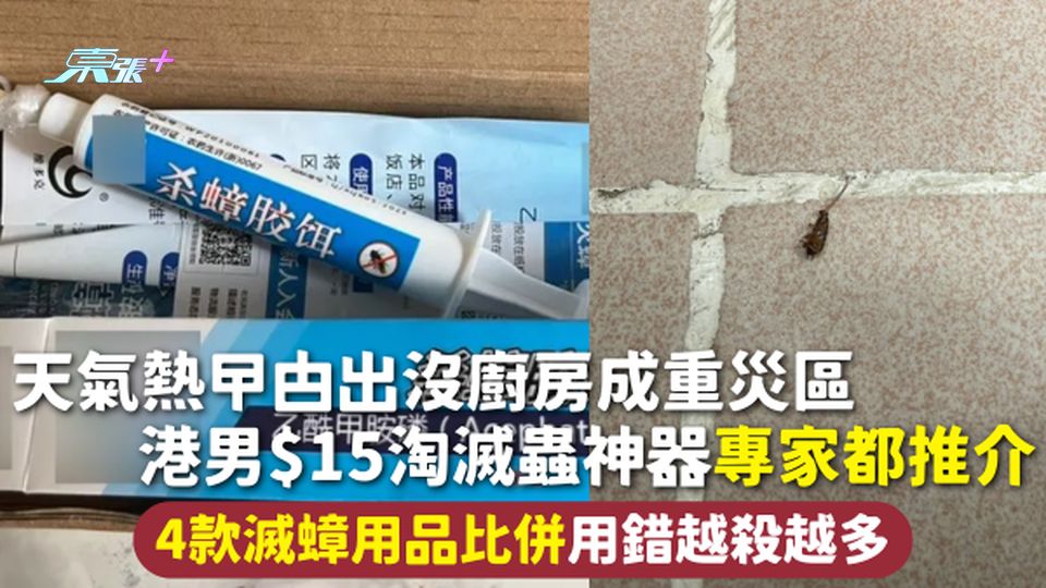 天氣熱曱甴出沒廚房成重災區 港男$15淘滅蟲神器專家都推介 4款滅蟑用品比併用錯越殺越多
