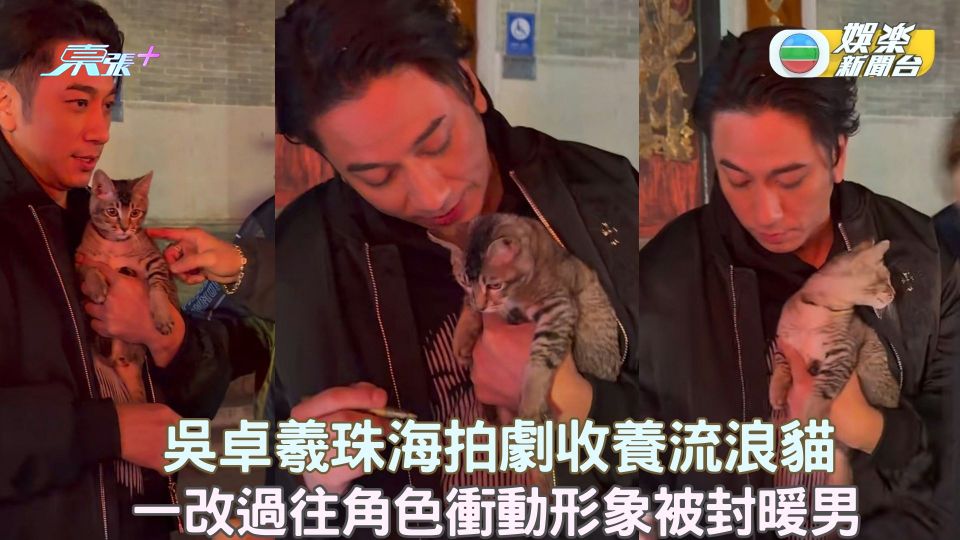 吳卓羲珠海拍劇收養流浪貓 過往角色衝動現實係愛寵之人
