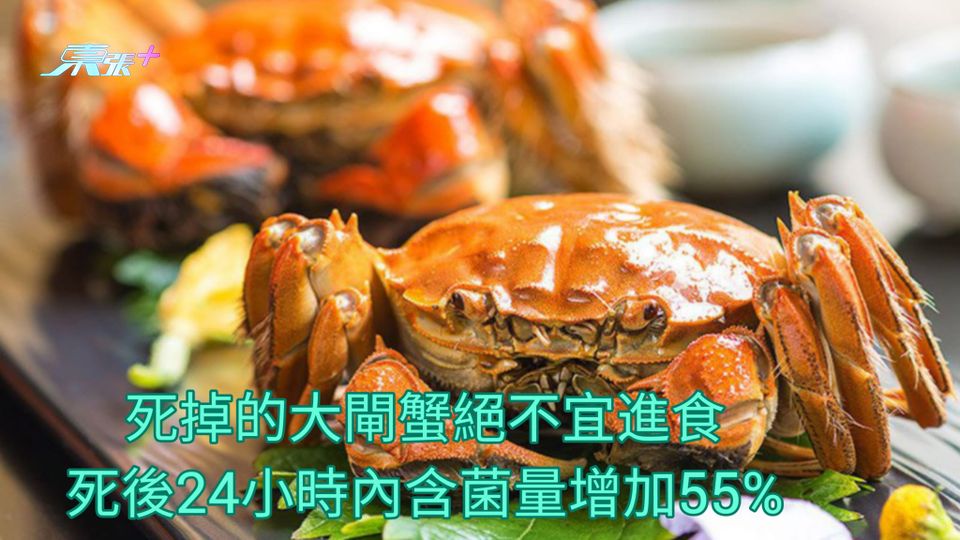 死掉的大閘蟹絕不宜進食 死後24小時內含菌量增加55%