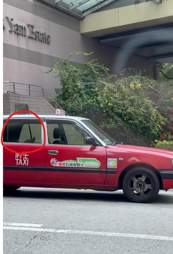 的士司機石蔭邨外玩「躺平」路上駕駛　市民看完心怕怕：扮無人駕駛？