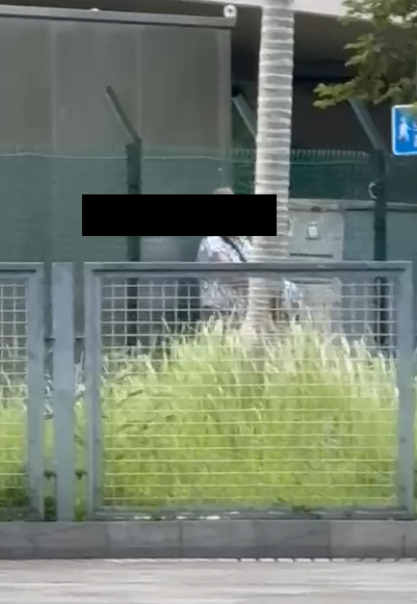 東張西望報料｜宋皇臺公園婆婆大玩「仙女散花」，麵包碎撒地下影響衛生。(讀者報料／影片截圖)