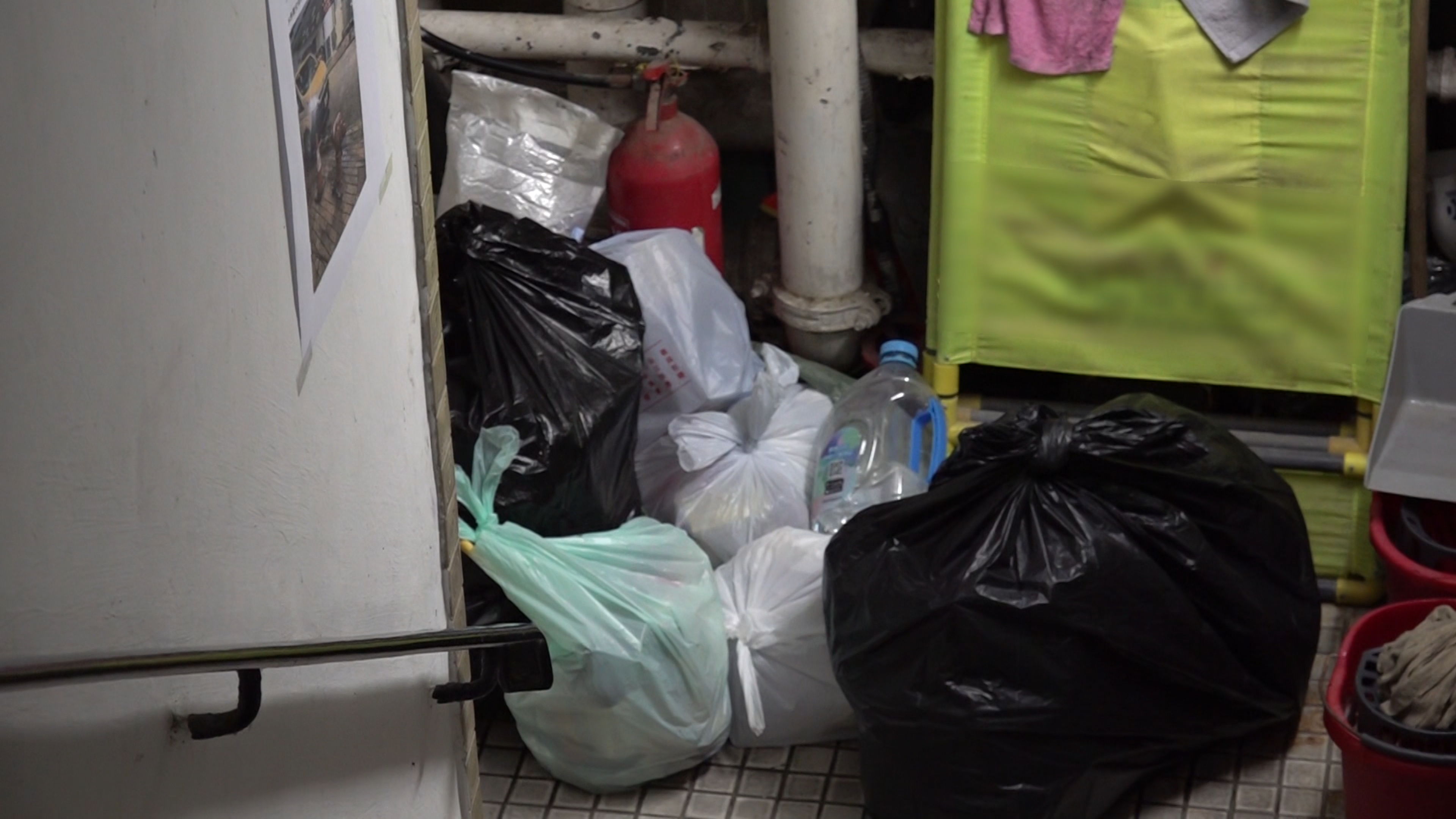 垃圾堆積引發嚴重蟲患