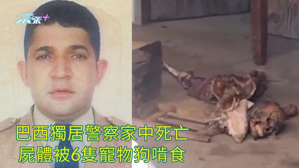 有片慎入 | 巴西獨居警察家中死亡 屍體被6隻寵物狗啃食