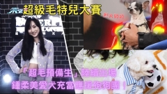 超級毛特兒大賽｜「超毛預備生」陸續出場 鍾柔美愛犬充當應援狗狗團！