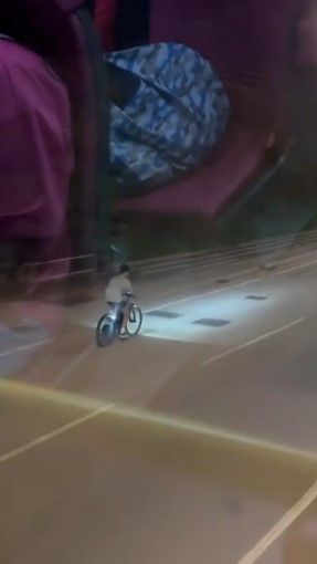 男子公然公路上駕駛電動單車