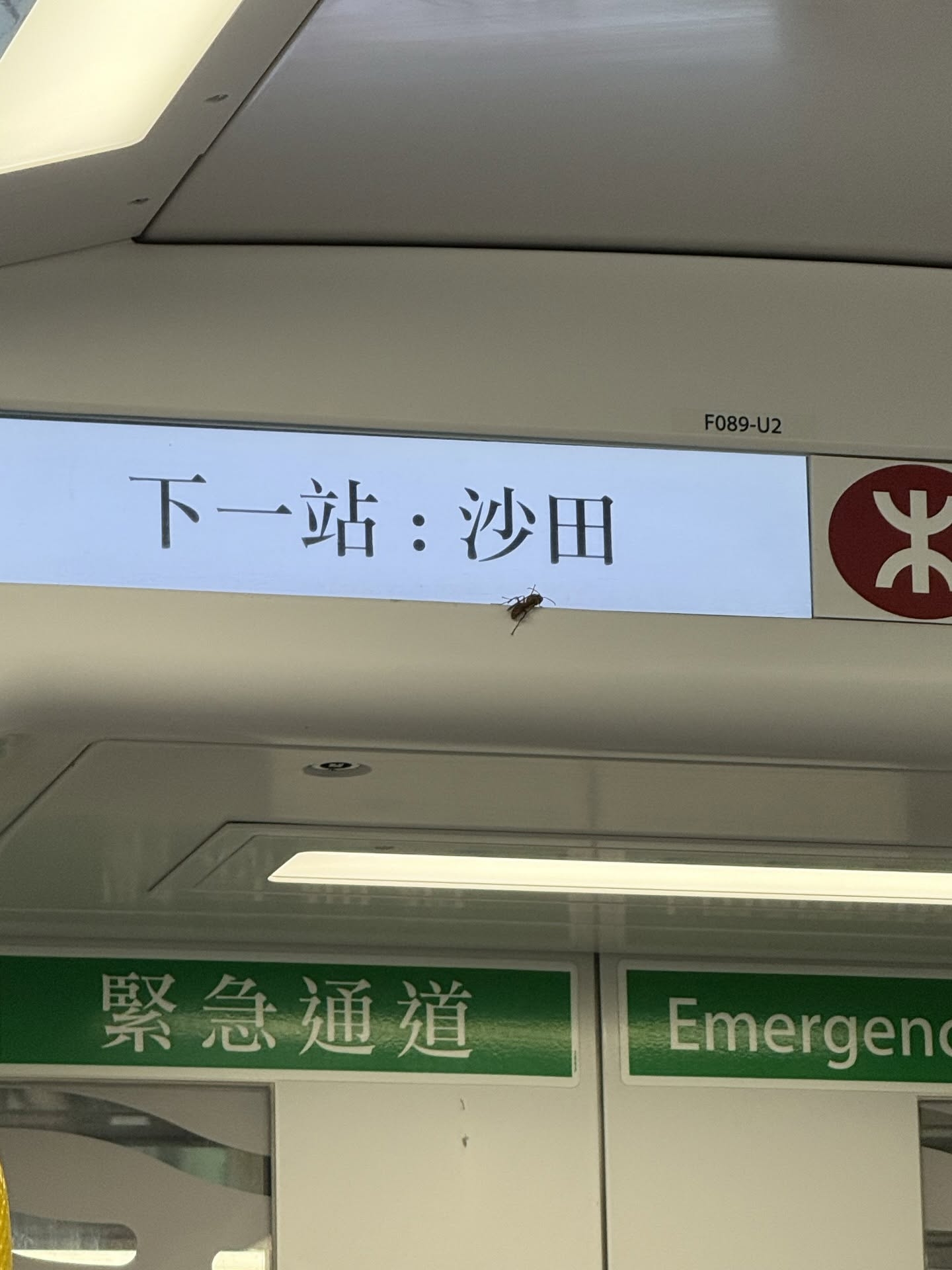 有網民擔心衛生問題，留言：「怪唔得架車最近咁多曱甴」，並貼出港鐵車廂出現曱甴的照片，直指「公共交通變食堂，衞生堪憂」。