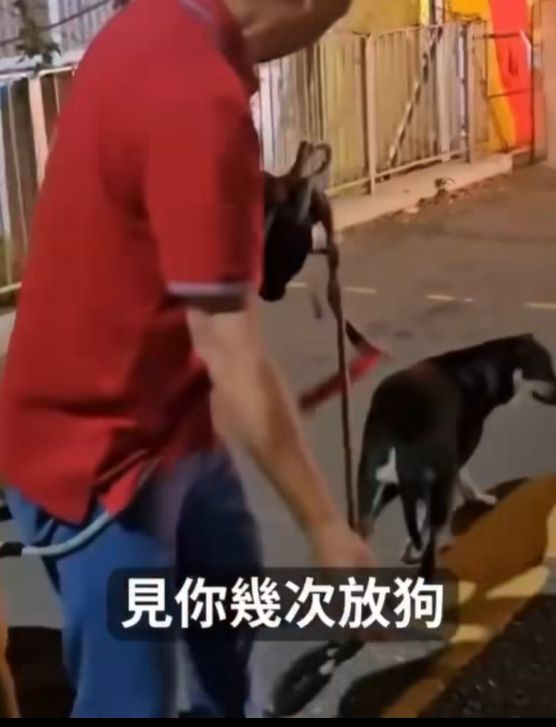 屯門男子被指故意放繩讓愛犬追咬流浪狗　狗義工呼籲停止傷害