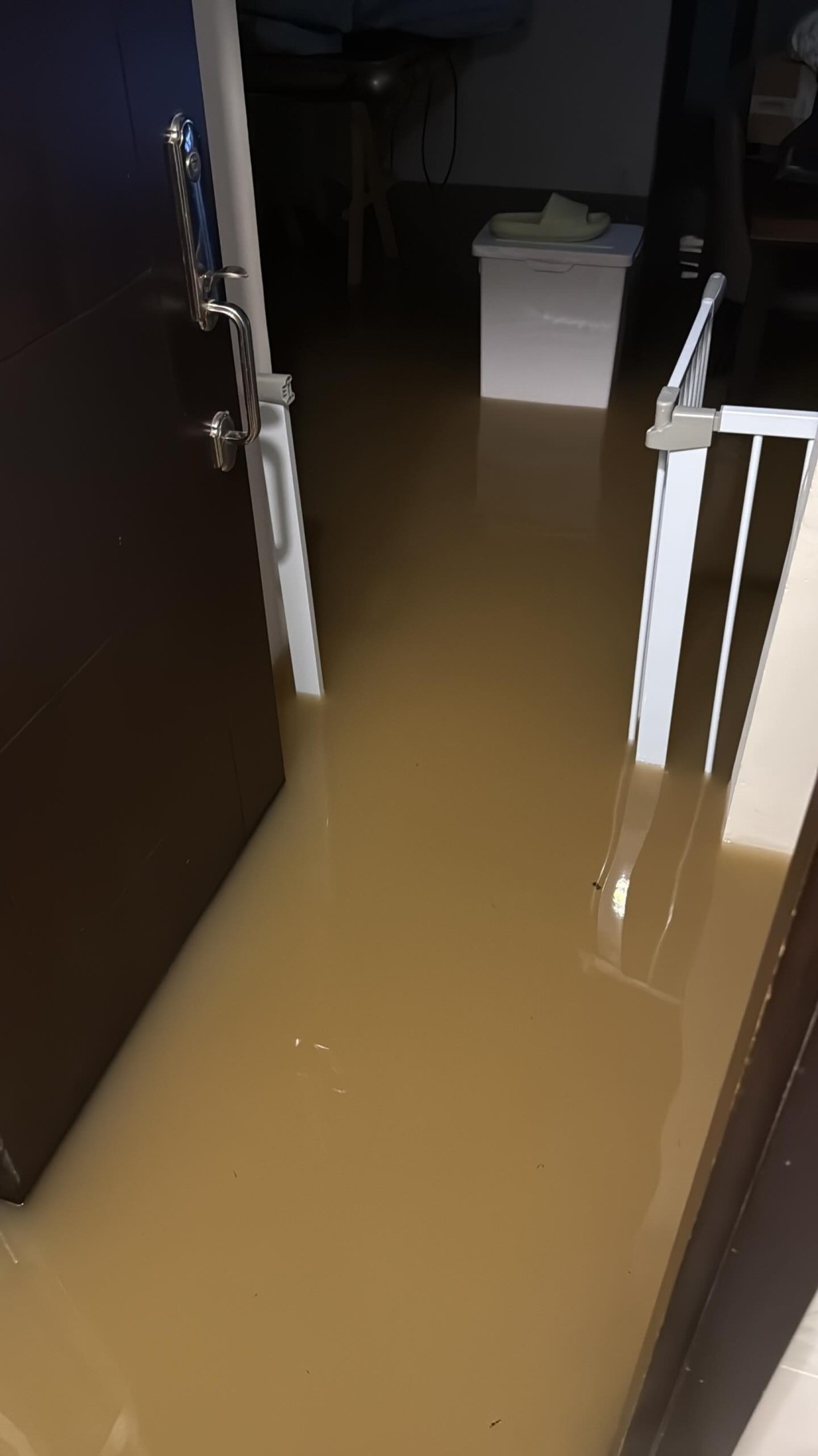 大埔有村屋在黃色暴雨下水浸，泥水湧入屋，住戶在網上大呻情況「超級恐怖」。（Threads圖片）