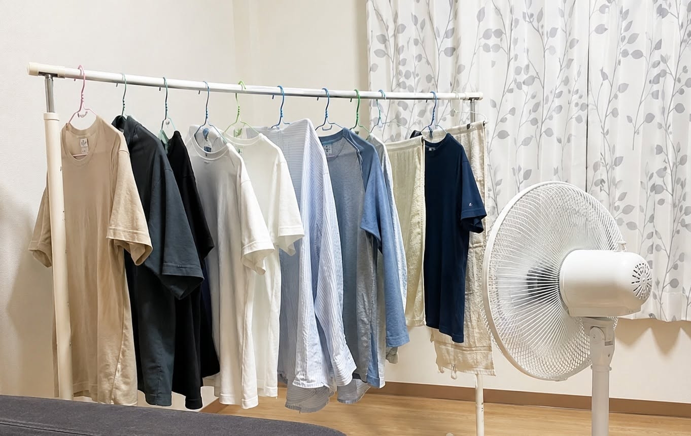 May be an image of clothes iron and towel rack