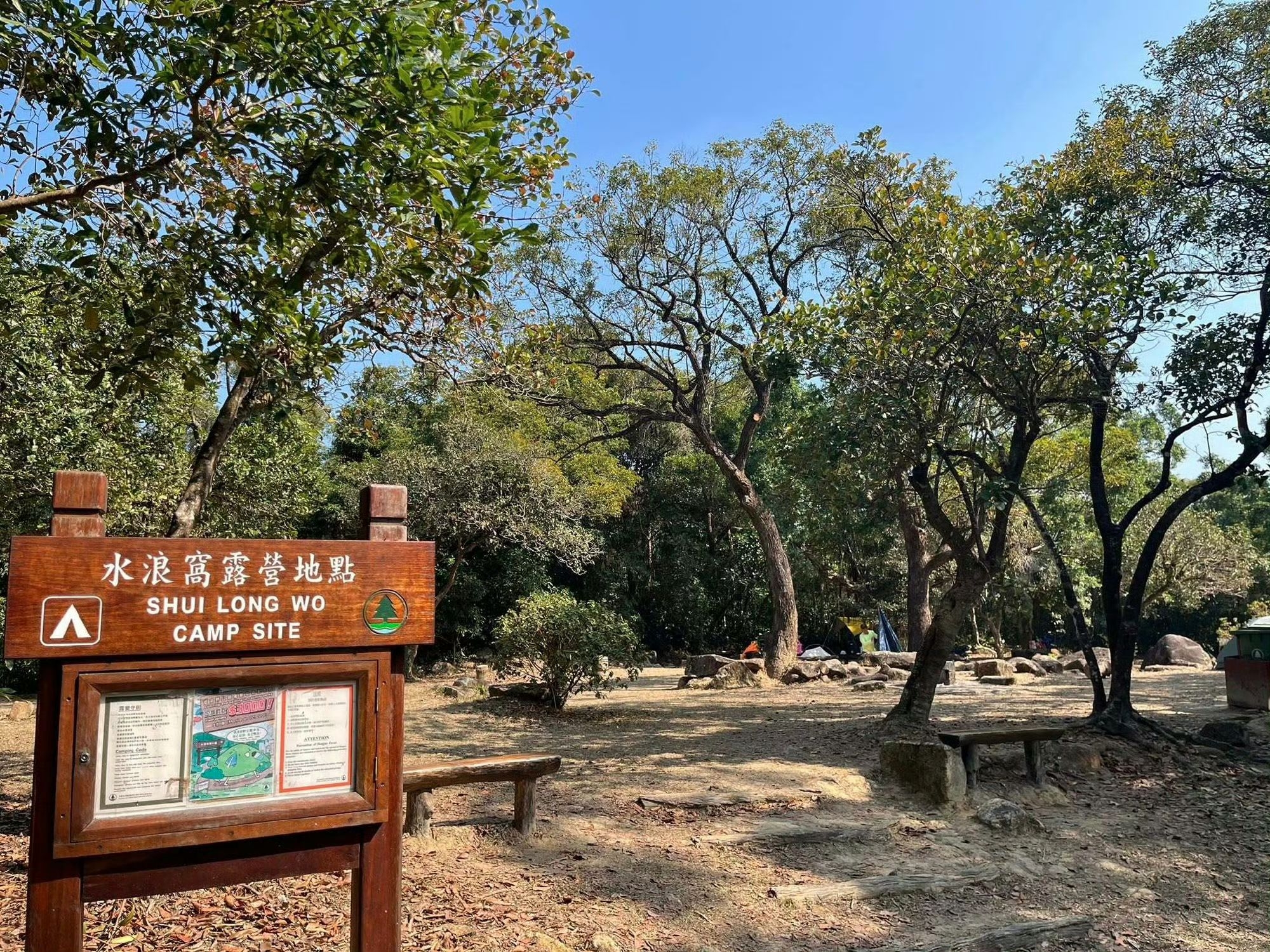 東張西望報料｜內地旅客露營疑伐木生火煮食　帶齊工具營地煮鮑魚 （微博圖片）