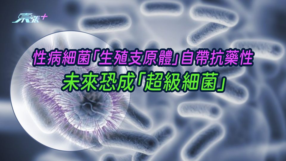 性病細菌「生殖支原體」自帶抗藥性 未來恐成「超級細菌」
