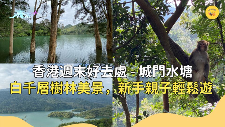 白千層樹林美景，新手親子輕鬆遊！香港郊遊好去處：城門水塘 #超想去玩