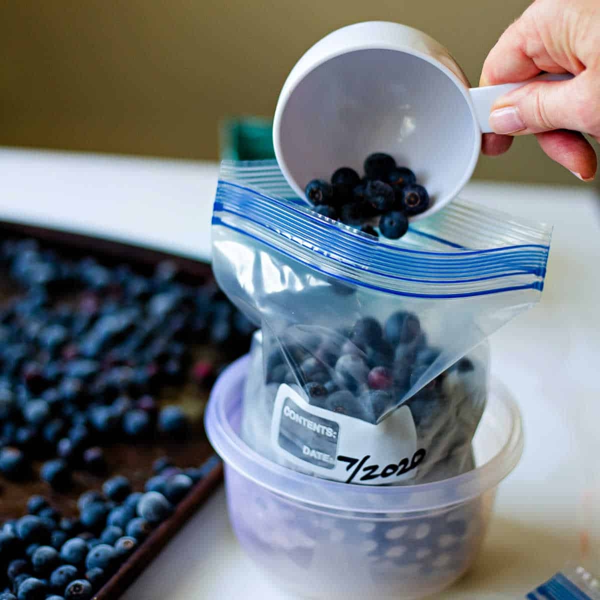How to Freeze Blueberries - Life, Love, and Good Food
