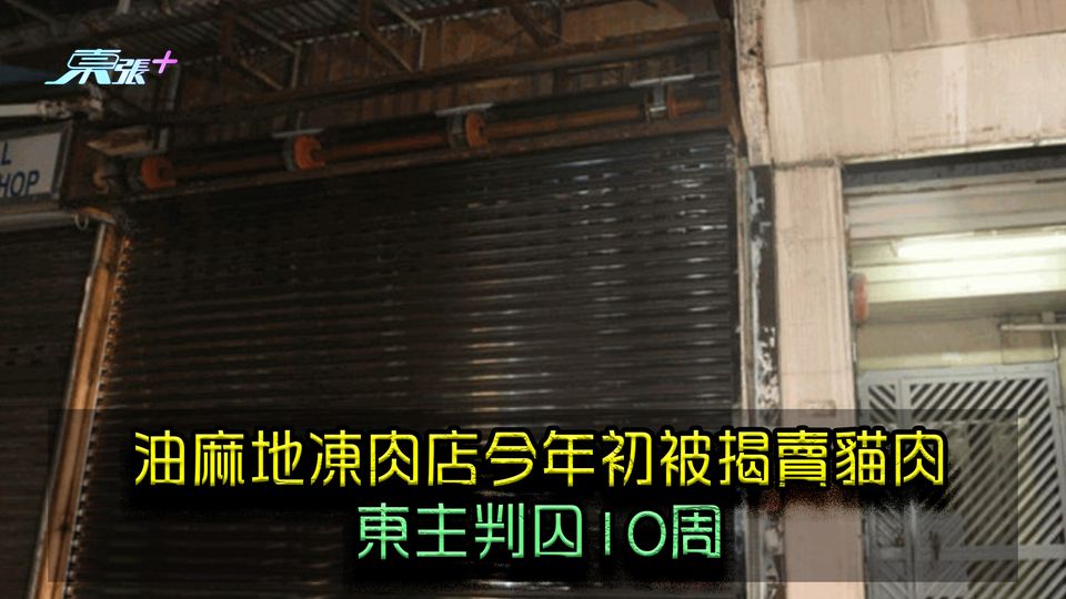 油麻地凍肉店今年初被揭賣貓肉 東主判囚10周