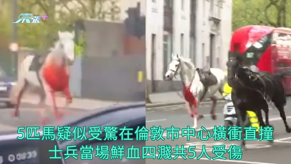 有片 | 5匹馬疑似受驚在倫敦市中心橫衝直撞 士兵當場鮮血四濺共5人受傷