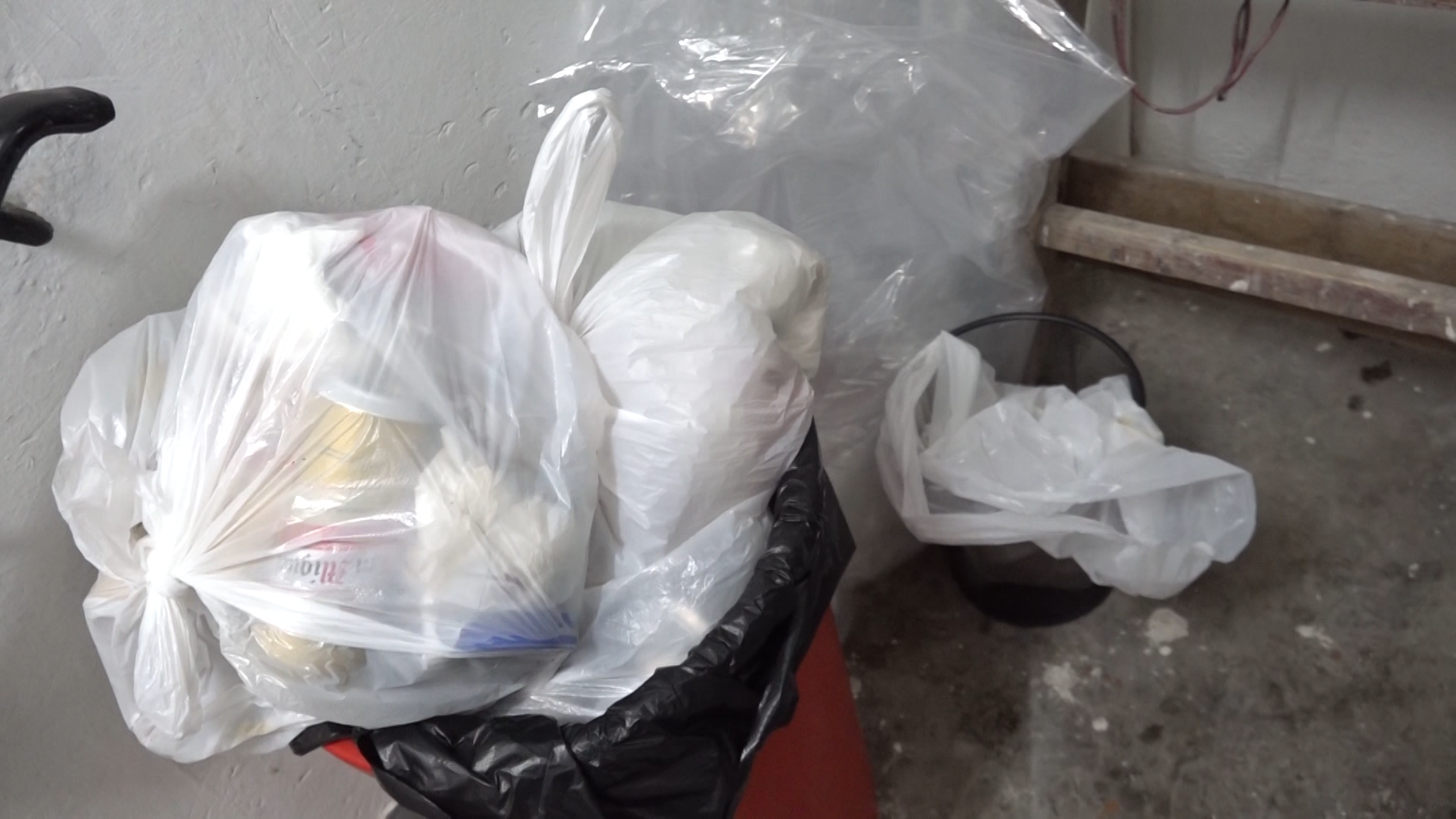 垃圾堆積引發嚴重蟲患