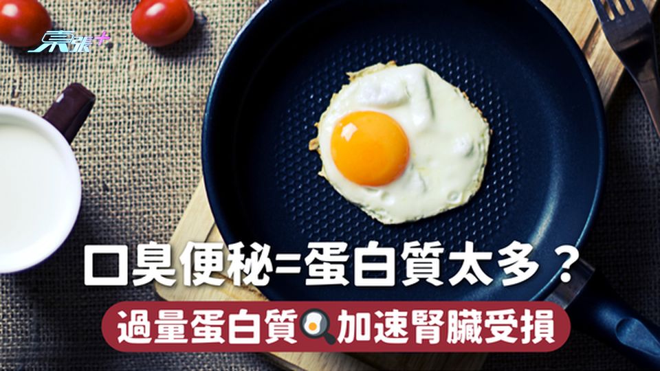 蛋白質 | 口臭便秘=蛋白質太多？ 過量蛋白質🍳加速腎臟受損