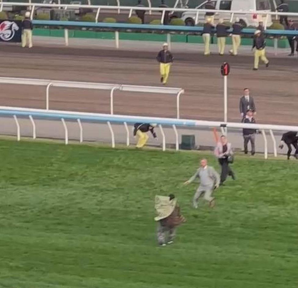 沙田馬場賽馬期間拉橫額衝賽道59歲男被捕　涉事橫額疑寫有大埔宏福苑字眼