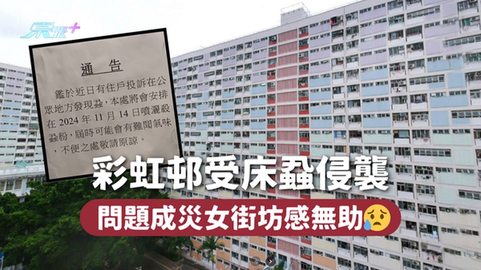 彩虹邨受床蝨侵襲 問題成災女街坊感無助😥