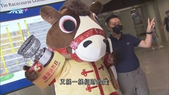 沙田馬場舉行國慶賽馬日 有馬迷稱天氣及氣氛勝預期