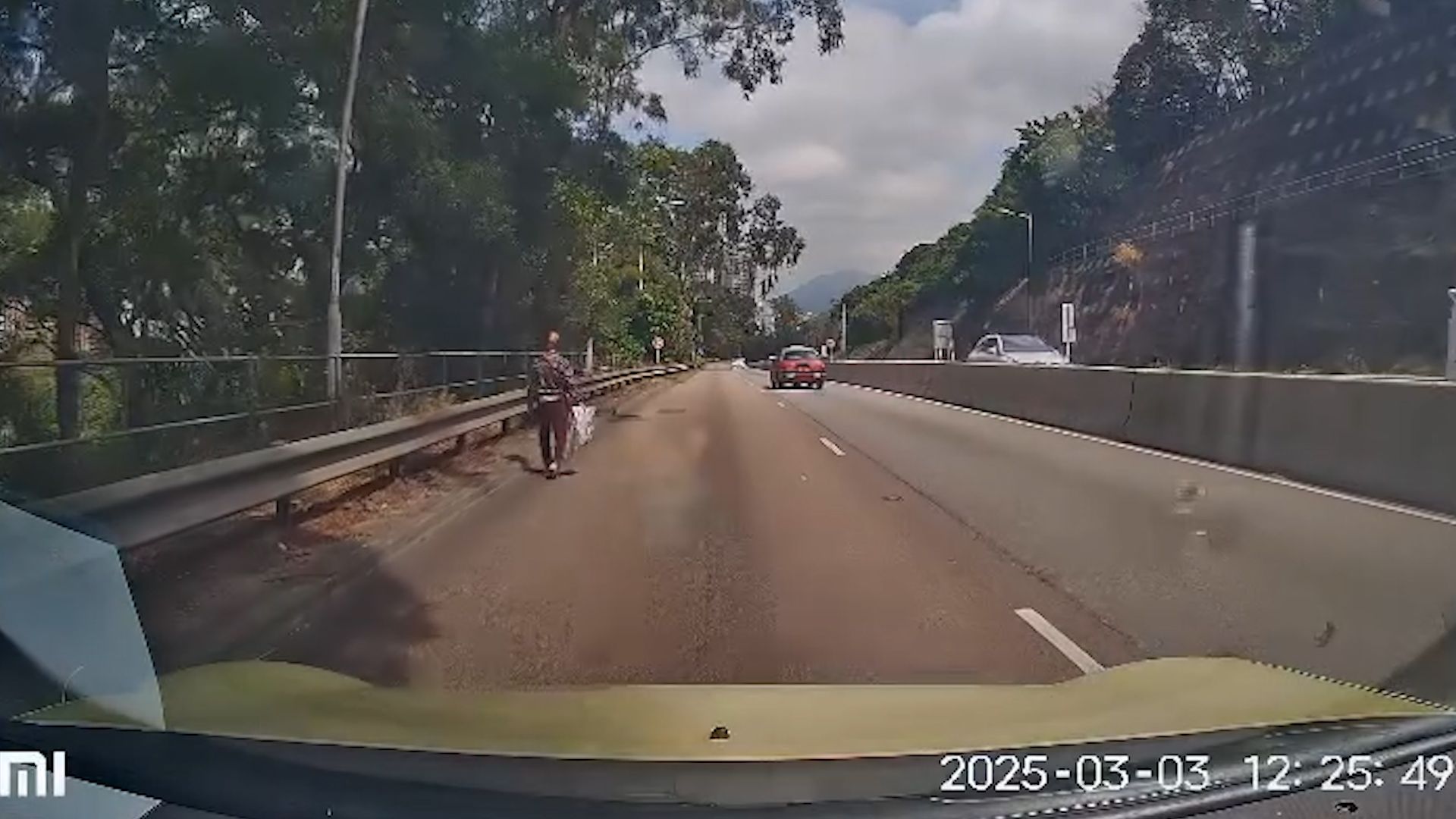 老婦獅子山隧道落錯巴士步行回家，熱心司機見狀開車送回家。(影片截圖)