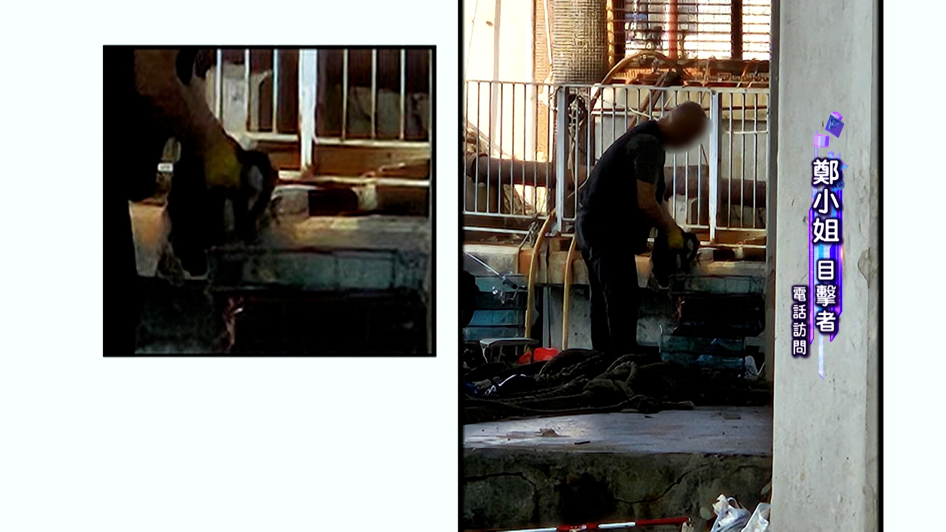 隨後一個戴著手套的男子走過去，蹲下並將鷹捉住，再把鷹放入籠中。