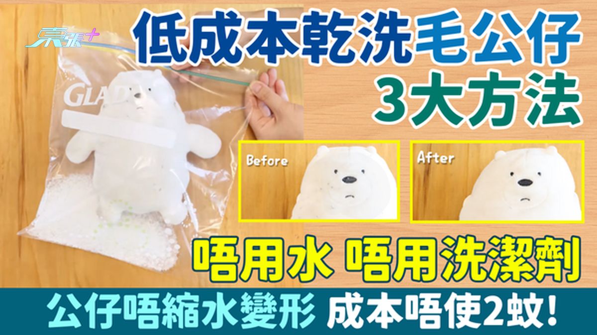 家事常識｜低成本乾洗毛公仔3大方法 唔用水唔用洗潔劑 公仔唔縮水變形 成本唔使2蚊!