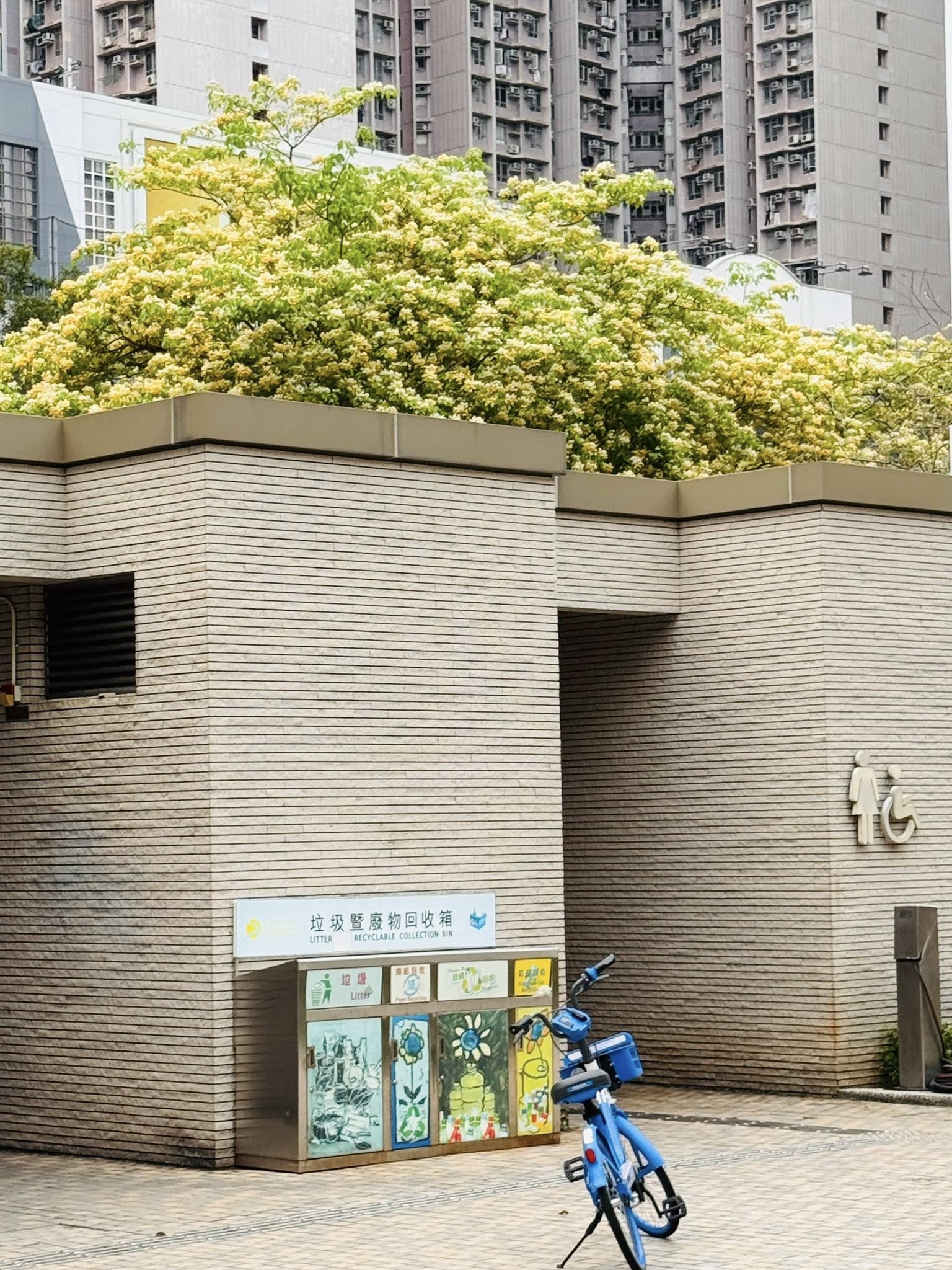 可能是自行車和街道的圖像