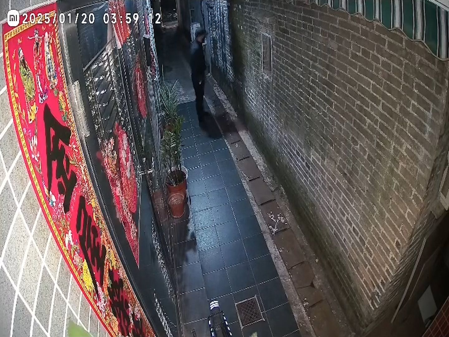 元朗廈村賊人夜潛3小時疑踩線