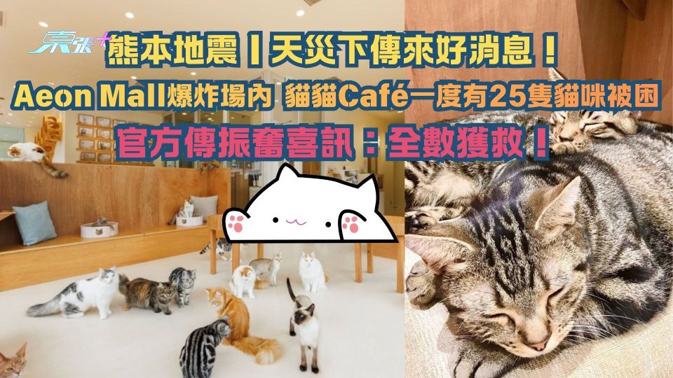 熊本地震｜Aeon Mall爆炸場內貓貓Café 25隻貓咪一度被困 官方傳振奮喜訊：全數獲救