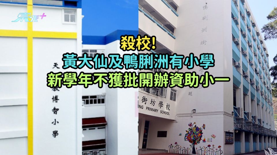 殺校 | 黃大仙及鴨脷洲有小學新學年不獲批開辦資助小一