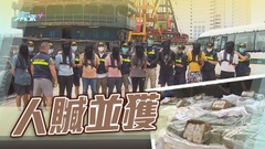 海關檢約40噸走私凍肉9人被捕 指漁船取貨後會返回內地