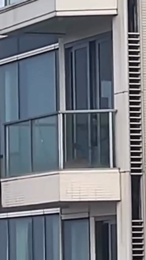 其後屋內有人開門伸出手，疑用拖鞋拍打狗狗，再把門關上。（Threads影片／kenny_rounders）