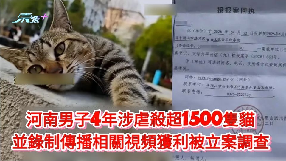 河南男子4年涉虐殺超1500隻貓 並錄制傳播相關視頻獲利被立案調查