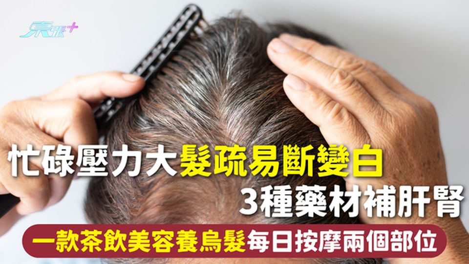 頭髮健康 | 忙碌壓力大髮疏易斷變白 3種藥材補肝腎 一款茶飲美容養烏髮 每日按摩兩個部位