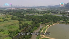 陳茂波指今屆政府全力提升新界交通網絡建設 配合北部都會區發展
