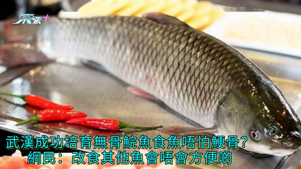 武漢成功培育無骨鯇魚食魚唔怕鯁骨？ 網民：改食其他魚會唔會方便啲