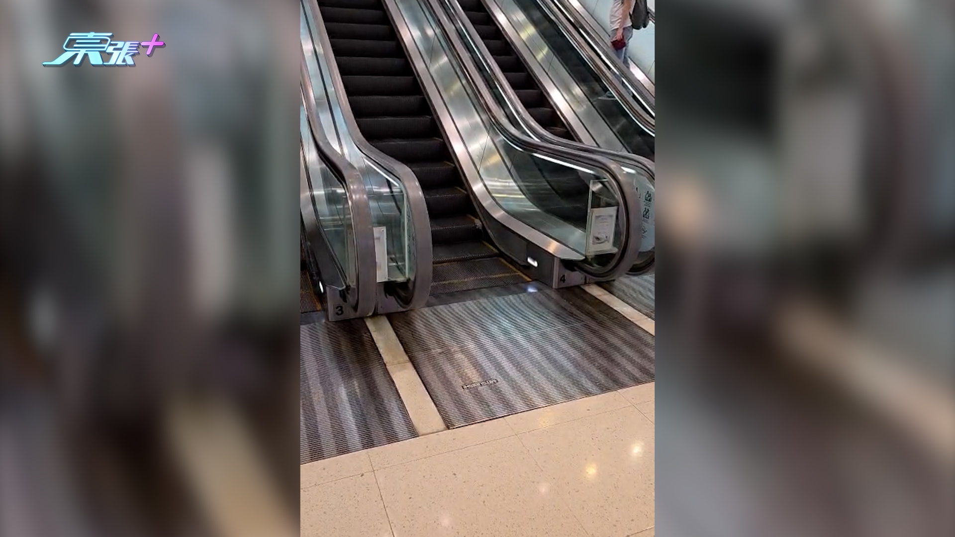 東張西望報料｜黃埔商場驚現老鼠搭扶手電梯「做Gym」　多名街坊圍觀事件發展