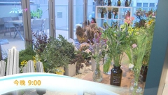 《日日有樓睇》︰花店商機 今晚九點財經體育資訊台