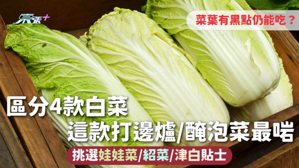 白菜 | 區分4款白菜 這款打邊爐/醃泡菜最啱 挑選娃娃菜/紹菜/津白貼士 菜葉有黑點仍能吃？