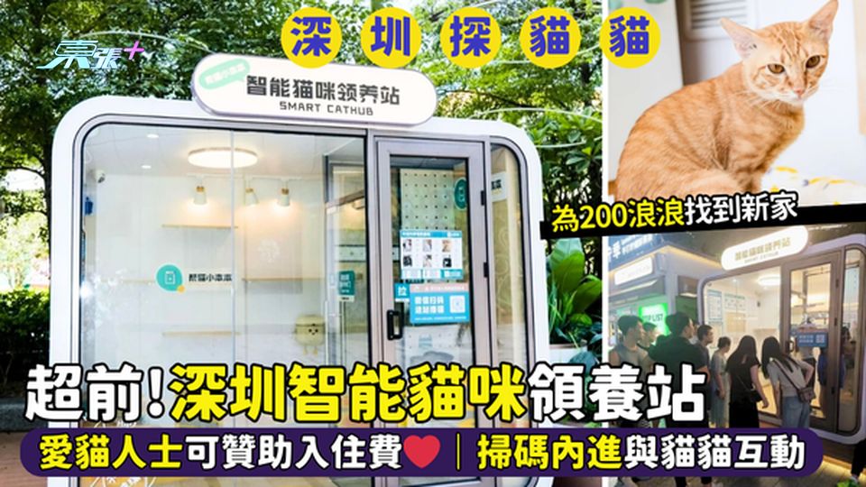 深圳智能貓咪🐈領養站 愛貓人士🙋‍♀️可贊助入住費❤️｜掃碼內進與貓貓互動😼